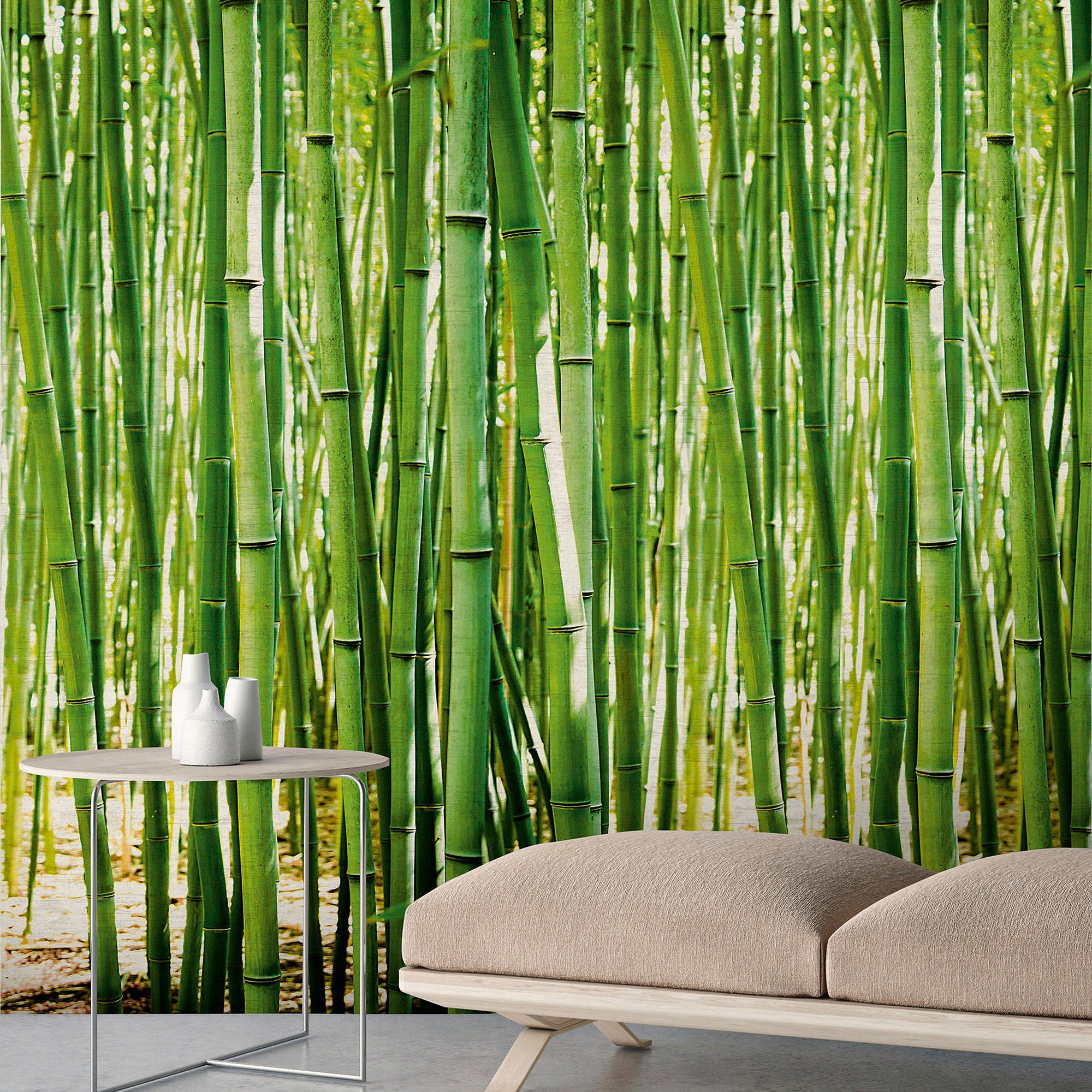 Bodenmeister Fototapete »Bambus-Wald grün«-HomeTrends