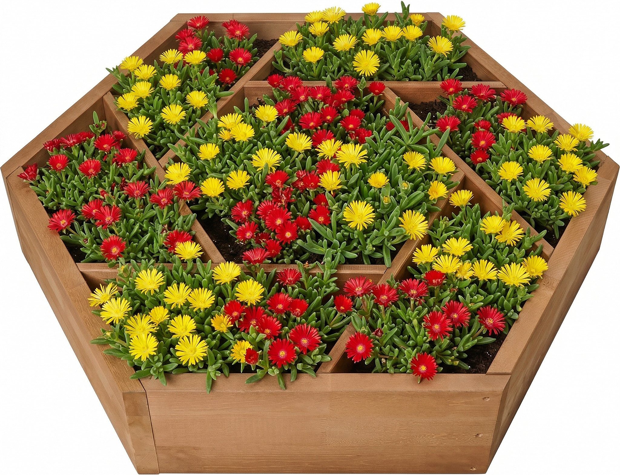 needs&wants® Hochbeet Pflanzbeet groß mit 7 Pflanzkästen sechseckig aus Holz für Garten, Kräuterbeet Blumenbeet Gartenbeet Pflanzbeet eckig Balkon Terrasse