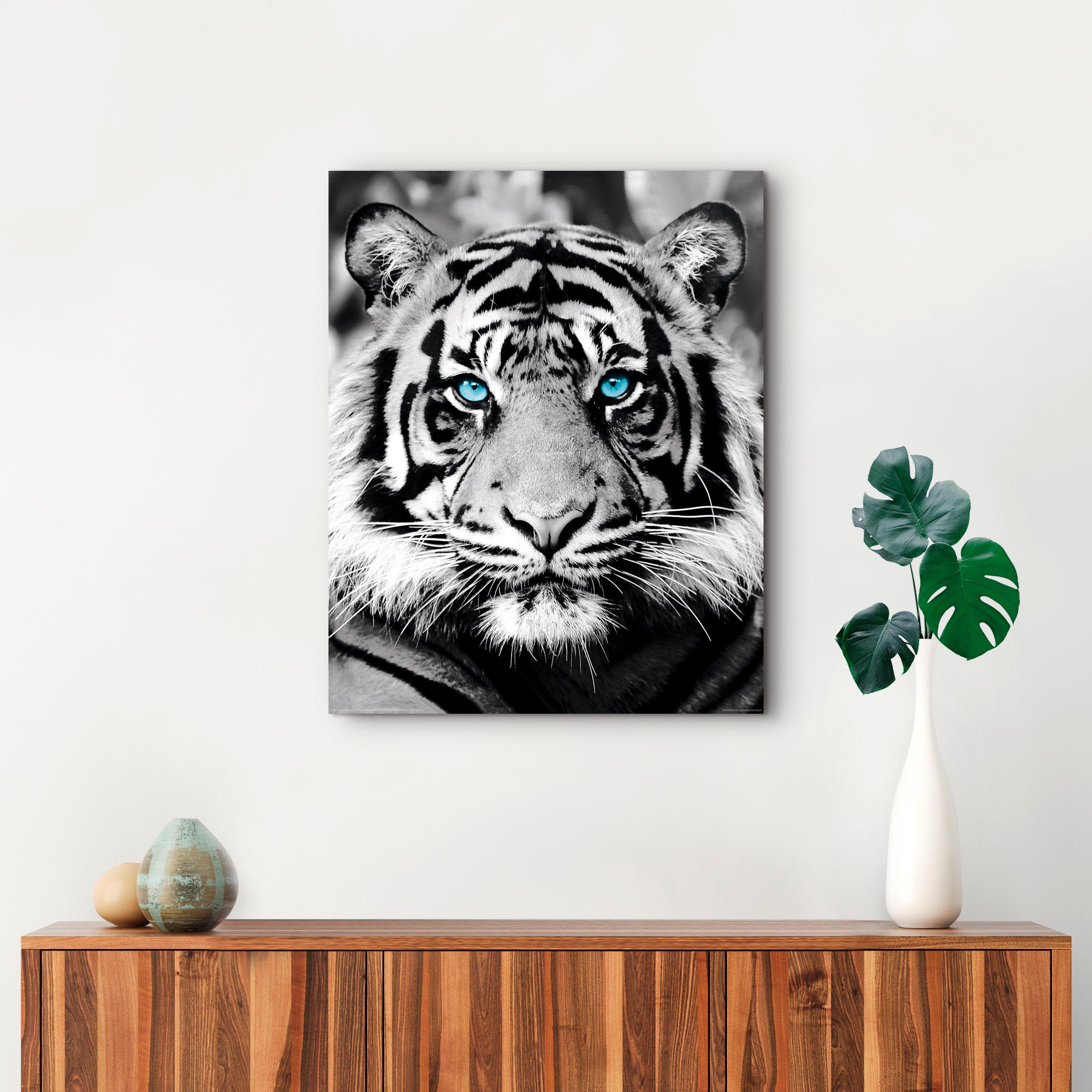 Blue Reinders! St) Eyed Tiger, Holzbild (1