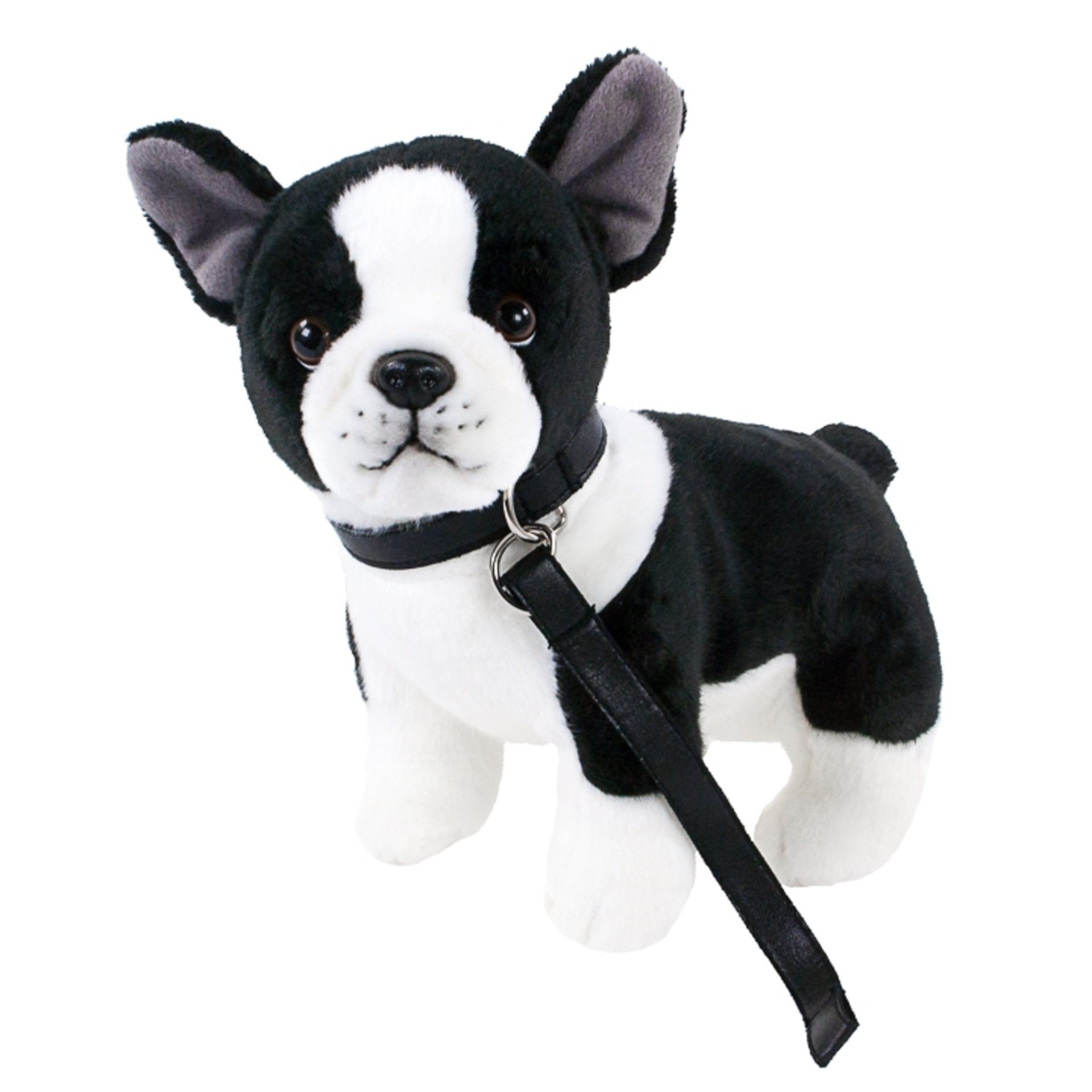 Teddys Rothenburg Kuscheltier Französische Bulldogge Hugo 25 cm mit  Halsband und Leine Plüschhund
