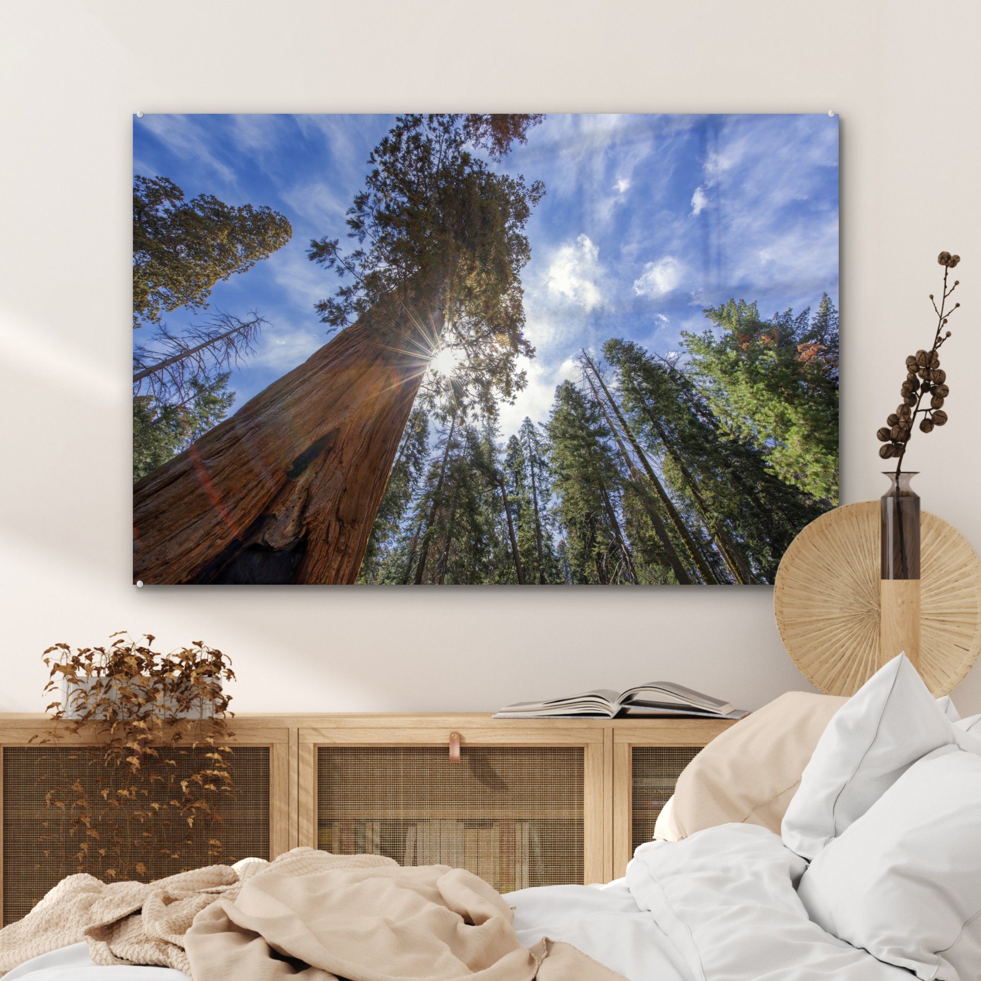 Bäume (1 Sequoia-Nationalpark Schlafzimmer in St), im Acrylglasbilder Wohnzimmer Nordamerika, MuchoWow Acrylglasbild &