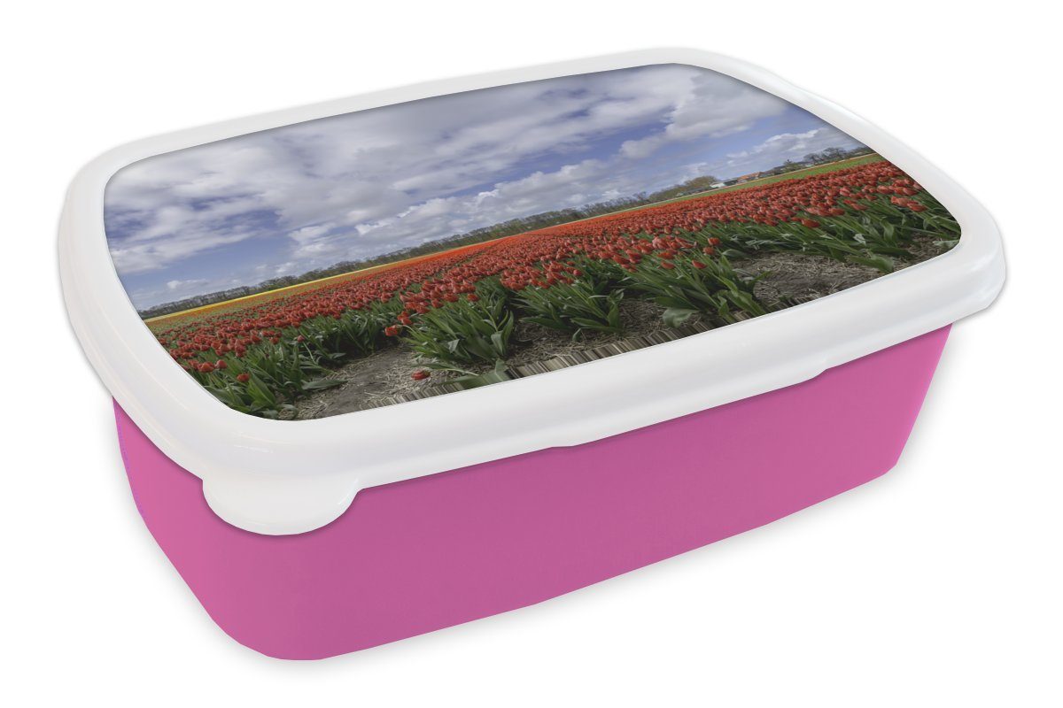 in Südholland, Brotbox Tulpen Kunststoff, Mädchen, dem für Lunchbox Brotdose auf Kunststoff Keukenhof rosa Snackbox, Kinder, (2-tlg), Erwachsene, MuchoWow Rote
