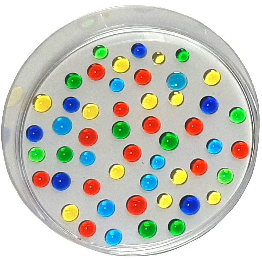 myExperimentSet Experimentierkasten für eine Forscherecke im Kindergarten, (6 Forscher-Stationen-tlg., Forschen, Entdecken und Wissen erleben), inkl. laminierten Erklärtafeln mit Bilder und Zeichnungen