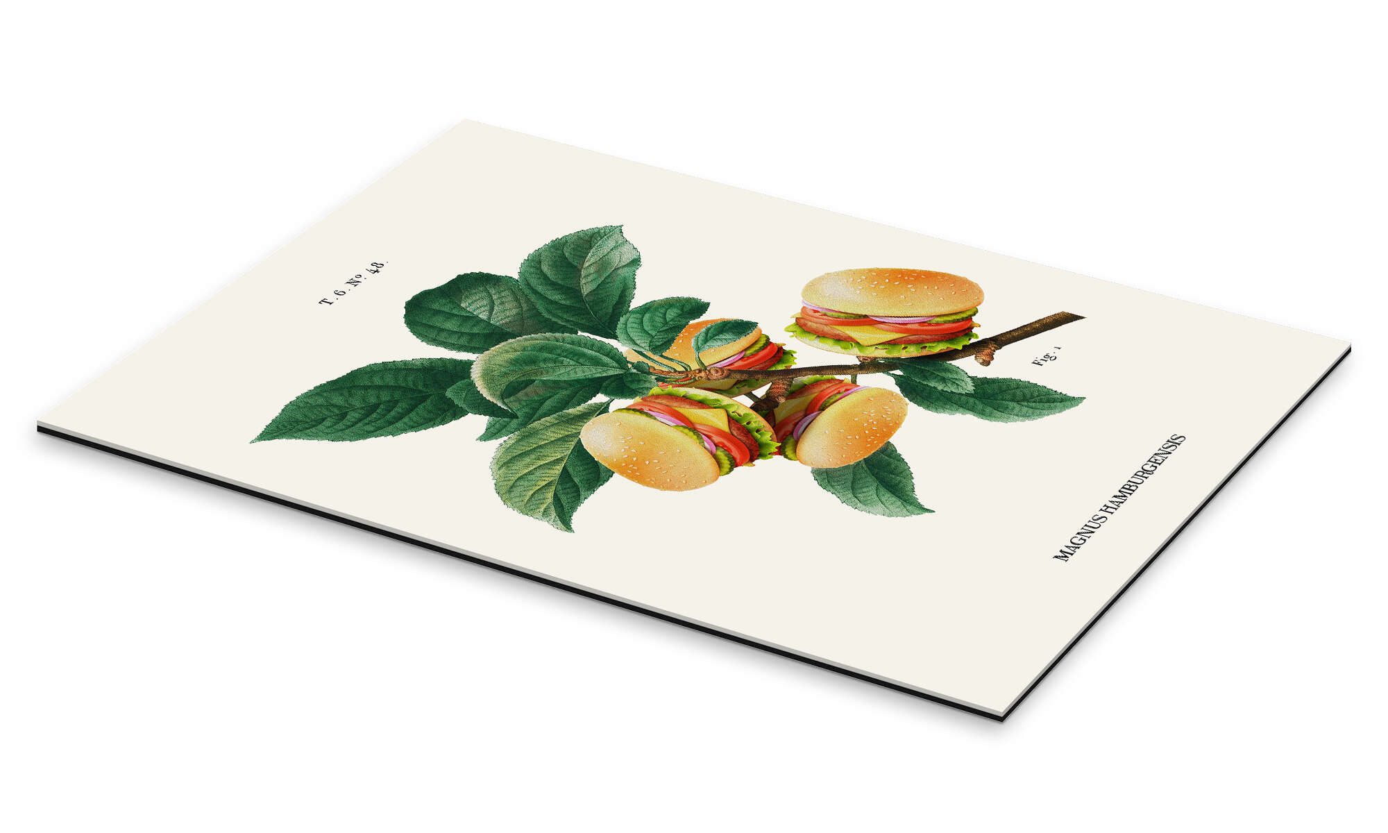 Posterlounge Wandbild Burger-Pflanze, Jonas Loose, erhältlich als Poster, Leinwandbild, Wandsticker oder Acrylglasbild