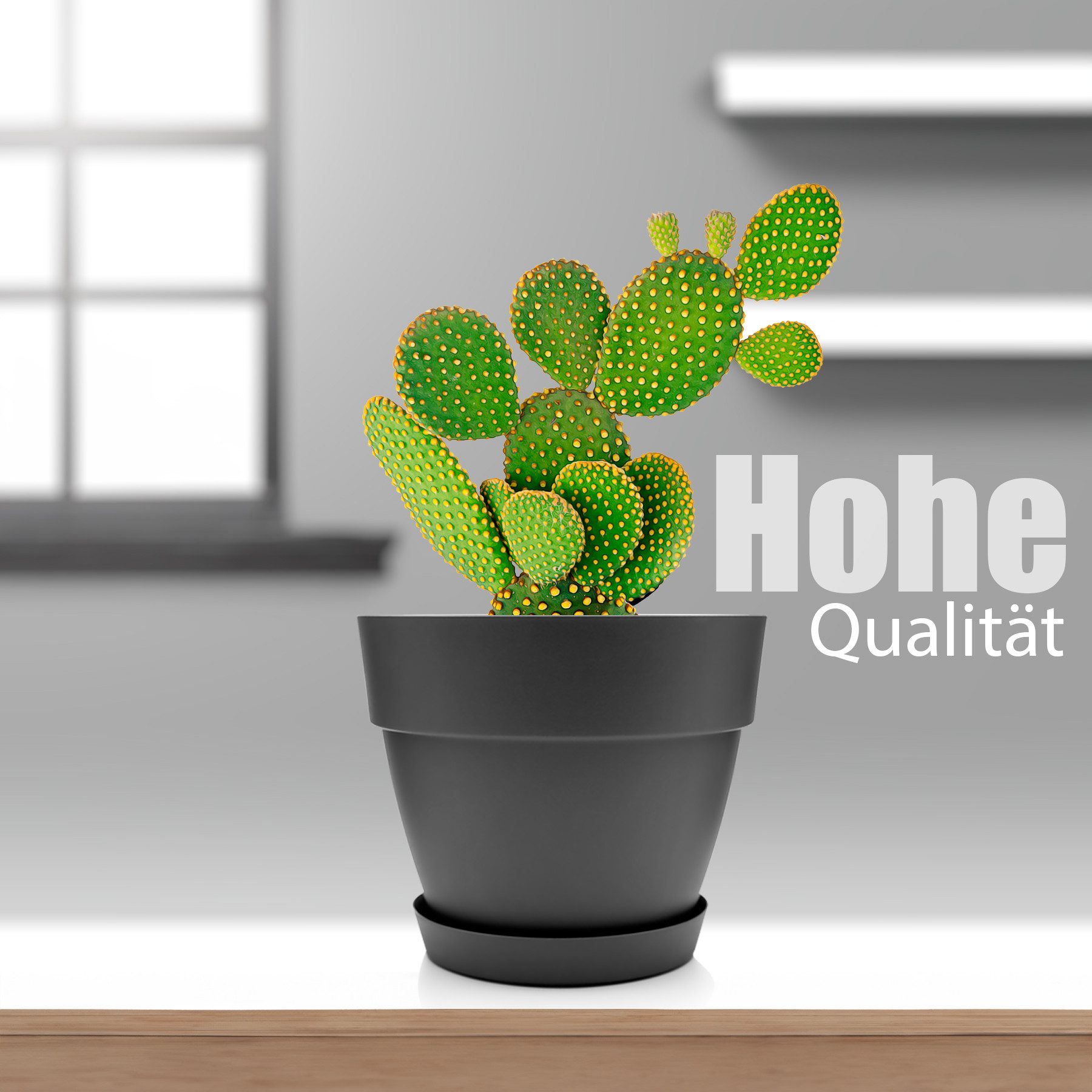 BigDean Blumentopf 3 Stück Blumentopf mit Untersetzer rund ø30 cm in Anthra günstig online kaufen