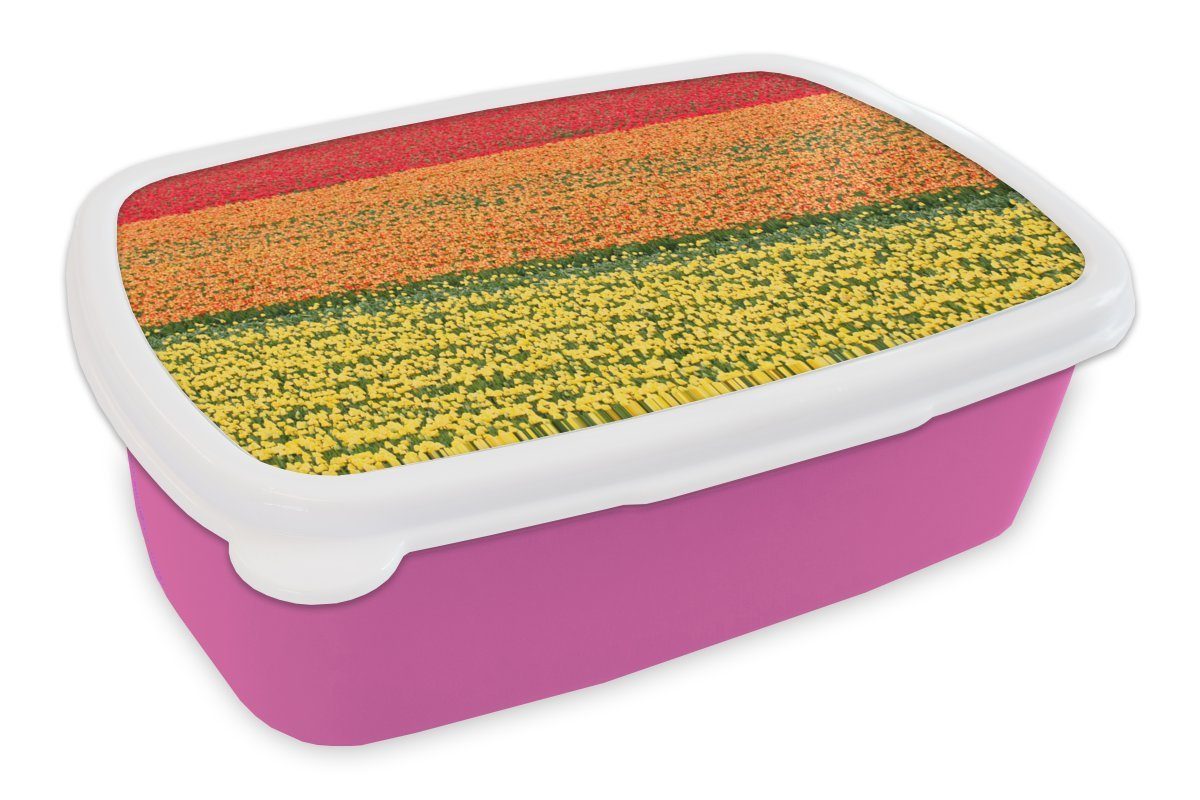 Tulpenfelder Erwachsene, Lunchbox Brotdose Kunststoff Kinder, für Brotbox Mädchen, den dem Keukenhof Snackbox, MuchoWow Niederlanden, auf rosa (2-tlg), Kunststoff, in