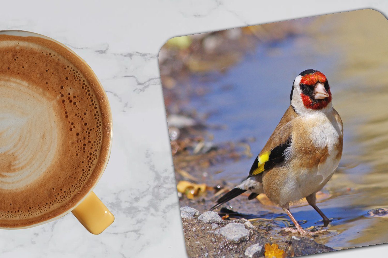 Ein Untersetzer, Glasuntersetzer Teich, steht in MuchoWow einem Tasse Stieglitz Gläser, 6-tlg., Tischuntersetzer, Korkuntersetzer, Glasuntersetzer, für Zubehör