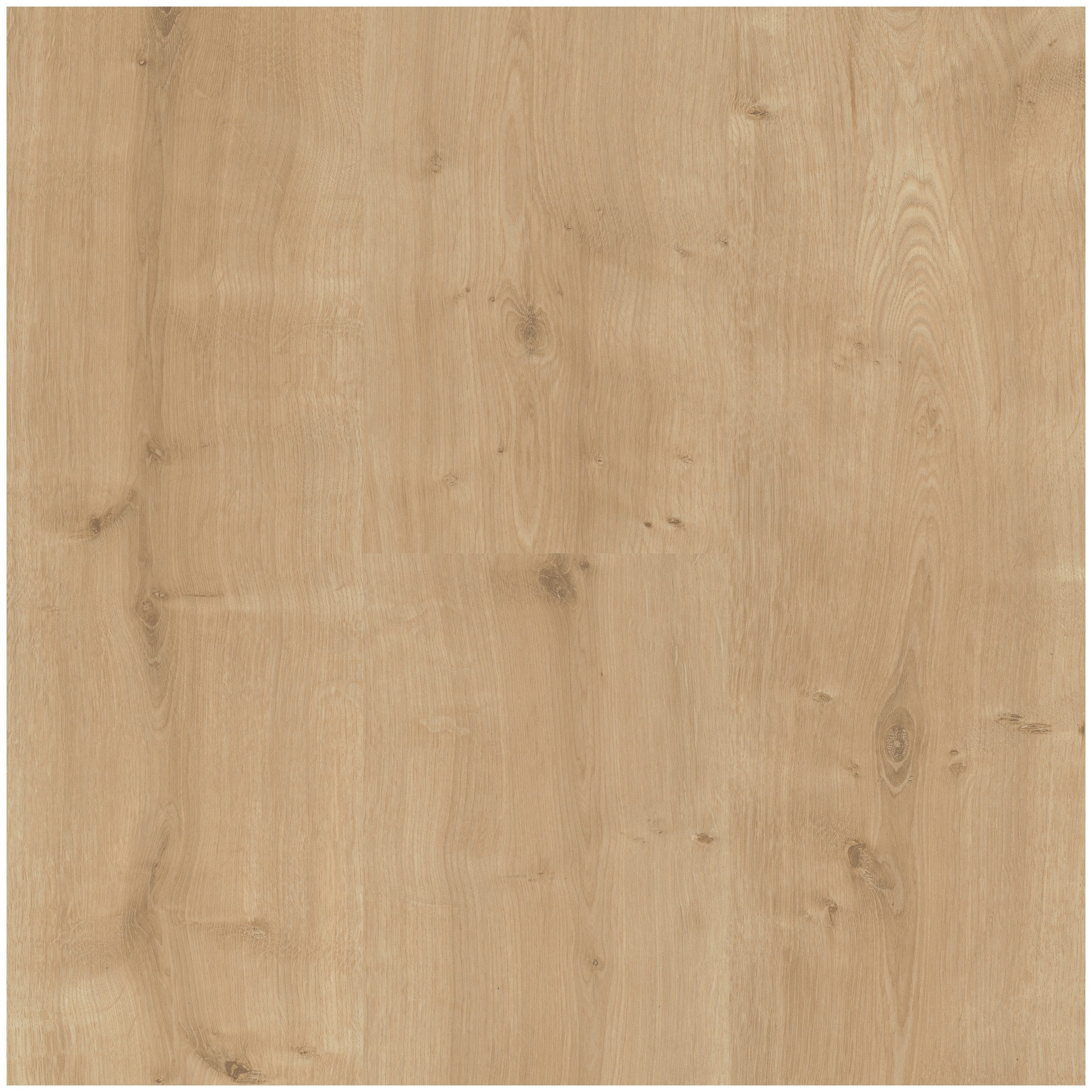 PARADOR Laminat Basic 400 Eiche geschliffen, 10 St., Klicklaminat 2,493m² (10 Dielen) pro Karton, Eiche