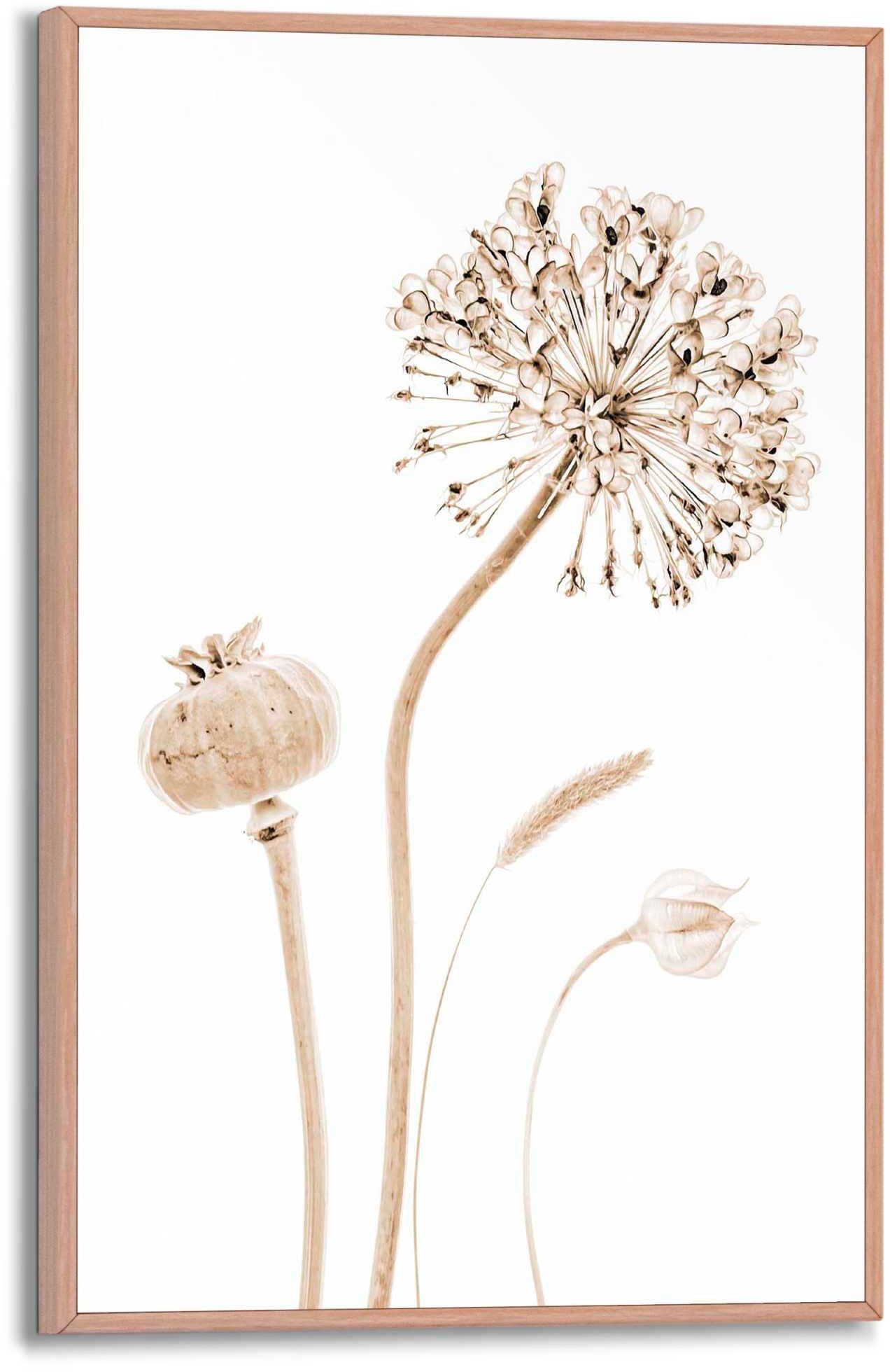 Reinders! Poster Trockenblumen, Mix & Match einfach in verschiedenen Motive  und Größen zu kombinieren
