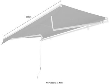 KONIFERA Gelenkarmmarkise Breite/Ausfall: 250 x 200 cm, Neigungswinkel verstellbar