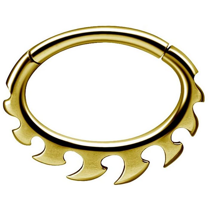 Karisma Piercing-Set Karisma Edelstahl 316L Hinged Septum/Daith Clicker Ring Ohrring Nase 1 2x8mm BSDX04 - Gold