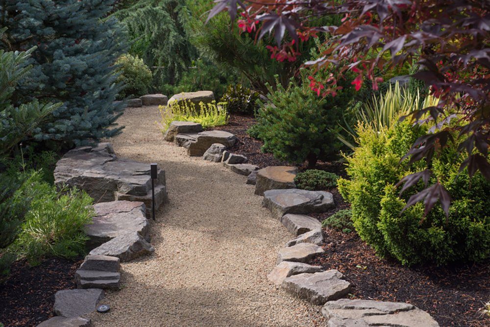 HaGa Unkrautvlies GARTENVLIES 50g/m² 1,6m x 10m Unkrautvlies, Wasserdurchlässiges Pflanzenvlies - Unkrautschutz im Garten