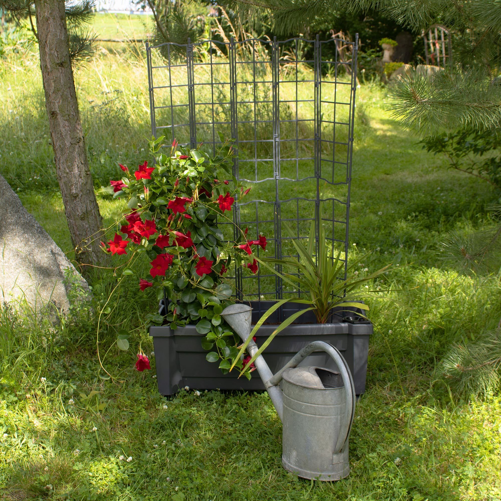 & NYVIGreen aus 79x35x135 Pflanzkübel Bewässerungssystem St), wetterfestem 42L mit Spalier Kunststoff Pflanzkasten Rankgitter (1 Anthrazit Blumenkasten NYVI recyceltem