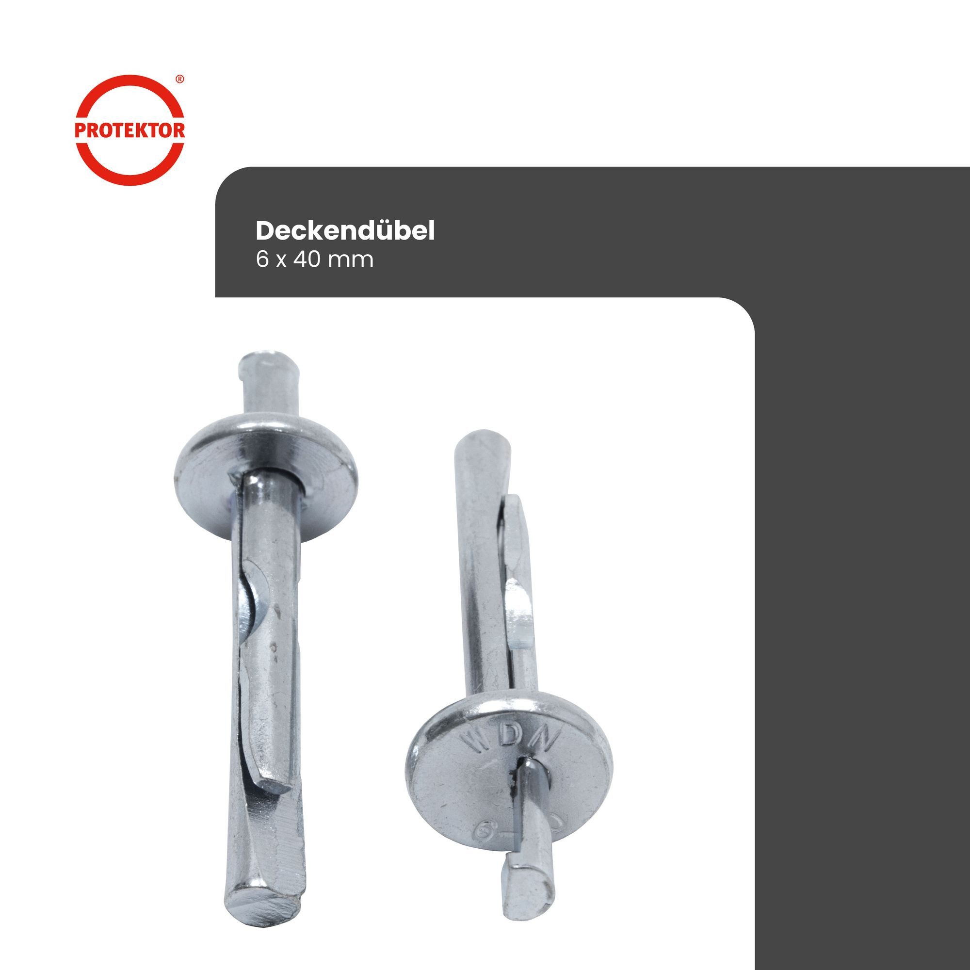 PROTEKTOR Befestigungsanker Deckennagel Deckendübel, (6 × 40 mm, 100 Stück, 100-tlg), Für Beton, A1, Qualität Made in Germany