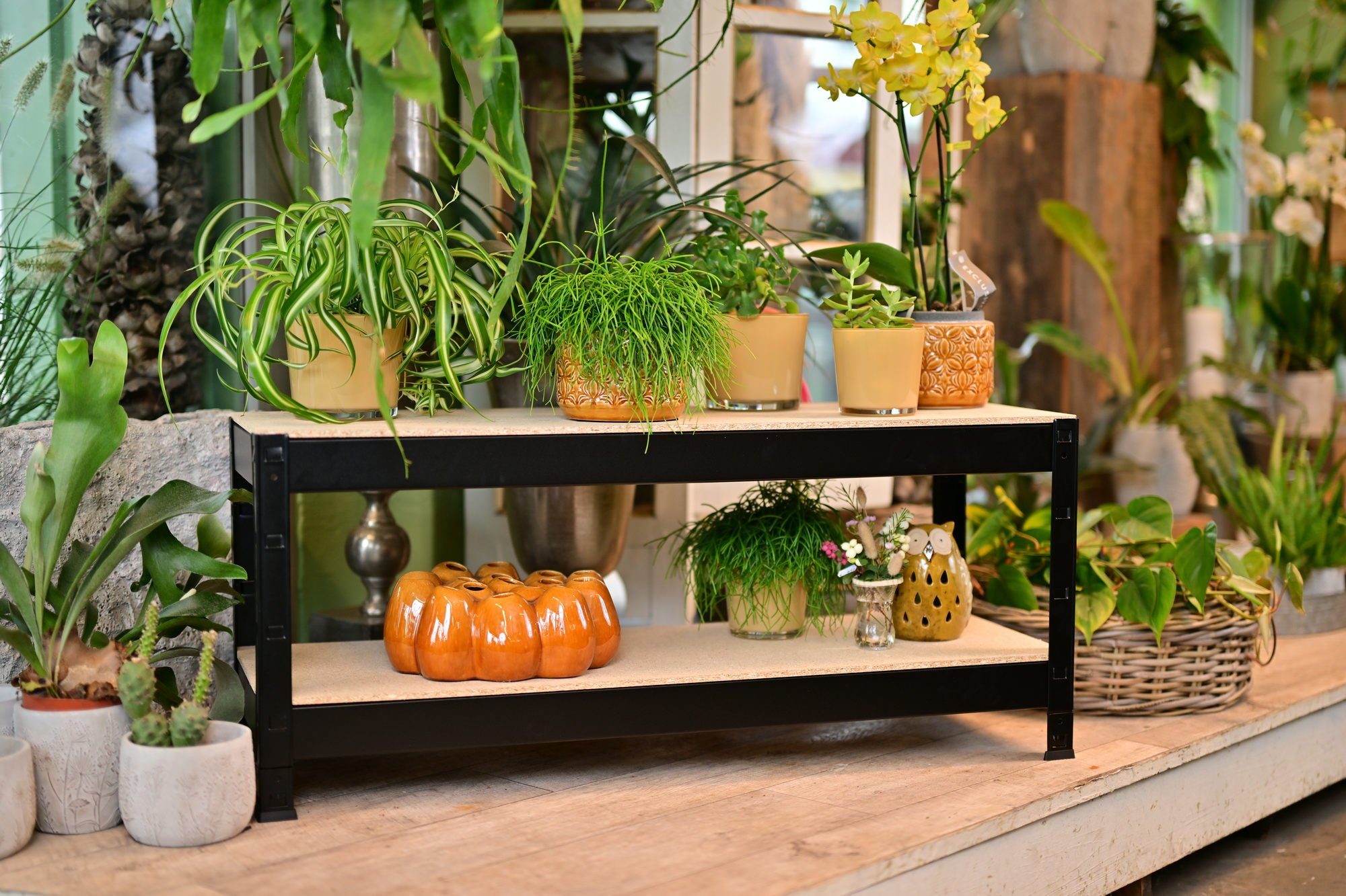 SCHULTE Regalwelt Schwerlastregal mit 2 Holzböden, 43x100x35 cm (HxBxT), Tr günstig online kaufen