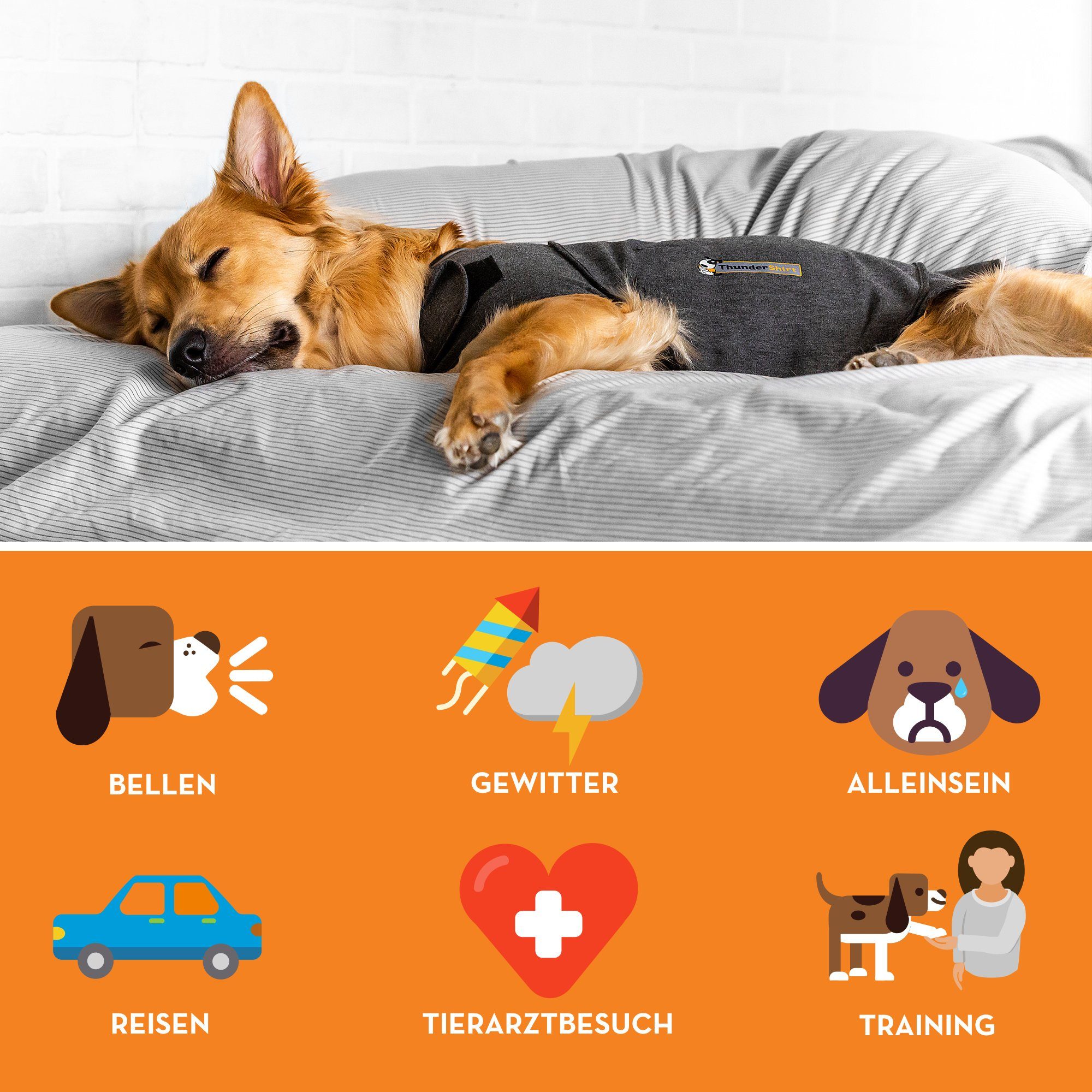 Adaptil Hunde-Halsband ThunderShirt ® - Die Beruhigungsweste für gestresste Hunde