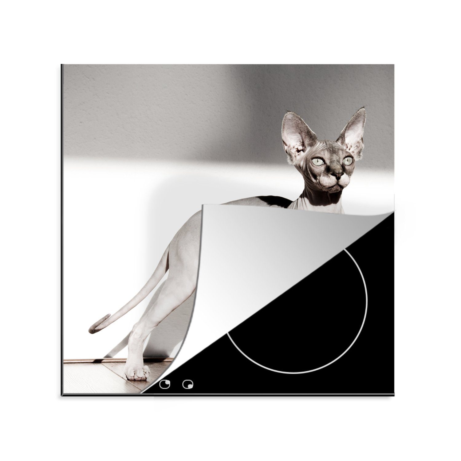 Arbeitsplatte tlg), für Sonnenstrahlen, Vinyl, MuchoWow 78x78 cm, Sportliche (1 Ceranfeldabdeckung, küche Herdblende-/Abdeckplatte Sphynx-Katze mit