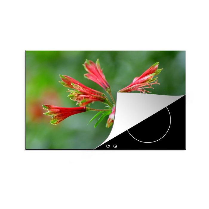 MuchoWow Herdblende-/Abdeckplatte Alstroemeria mit kleinen Blüten an der Spitze eines langen dünnen Vinyl (1 tlg) Ceranfeldabdeckung für die küche Induktionsmatte