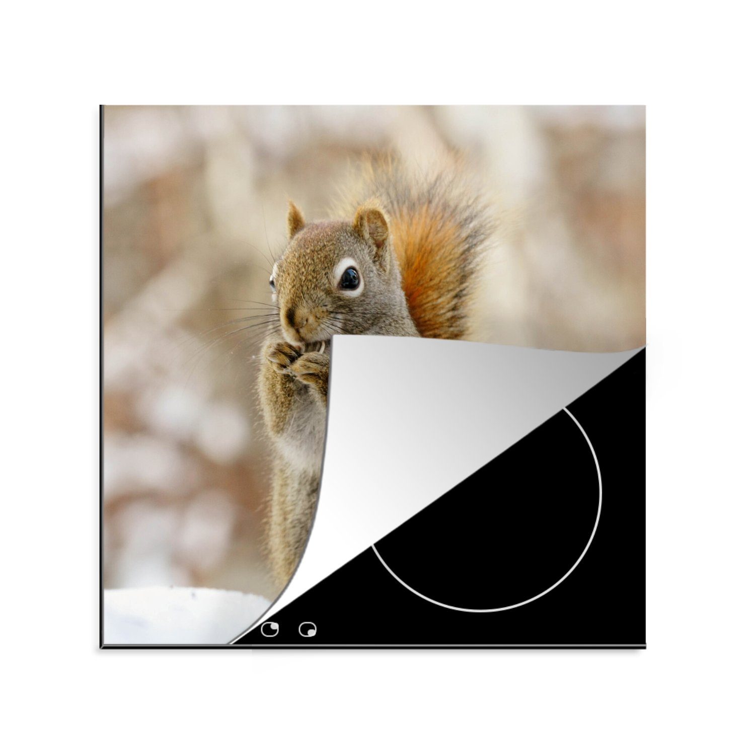 MuchoWow Herdblende-/Abdeckplatte Eichhörnchen - Apfel - Blumensamen - Schnee, Vinyl, (1 tlg), 78x78 cm, Ceranfeldabdeckung, Arbeitsplatte für küche