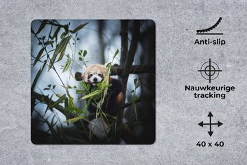 MuchoWow Gaming Mauspad Panda - Pflanzen - Zweige (1-St), Mousepad mit Rutschfester Unterseite, Gaming, 40x40 cm, XXL, Großes