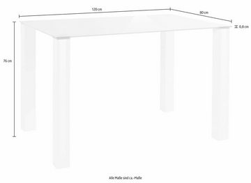 INOSIGN Essgruppe, (Set, 5-tlg), mit Glastisch, Breite 120 cm
