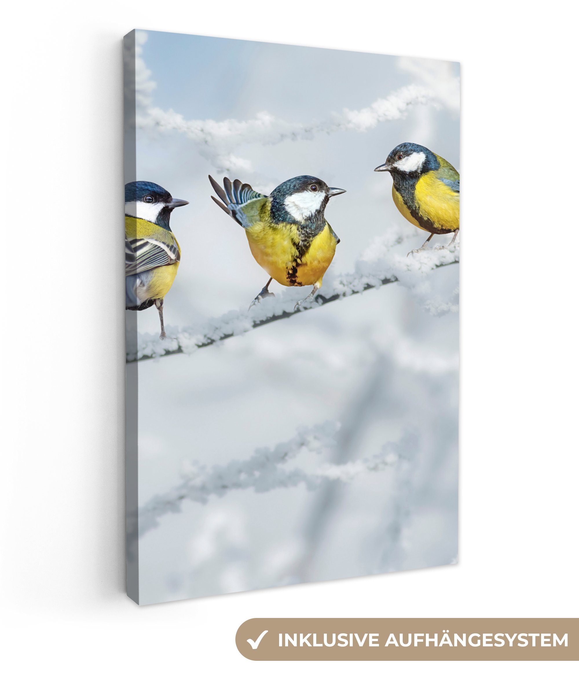 OneMillionCanvasses® Leinwandbild Vogel - Kohlmeise - Winter - Schnee - Zwe günstig online kaufen
