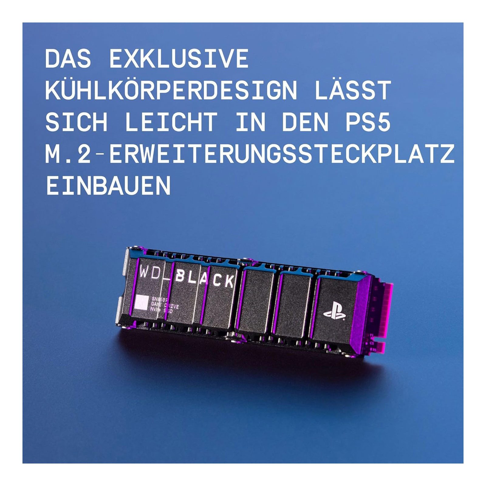 Western Digital SN850P NVMe M.2 SSD HDD-Festplatte – Bild 3 von 5