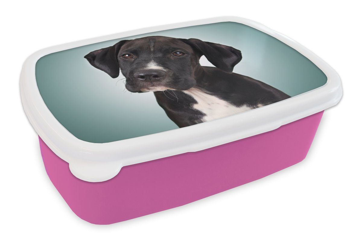 MuchoWow Lunchbox Süßer schwarzer und weißer Hund, Kunststoff, (2-tlg), Brotbox für Erwachsene, Brotdose Kinder, Snackbox, Mädchen, Kunststoff rosa | Lunchboxen