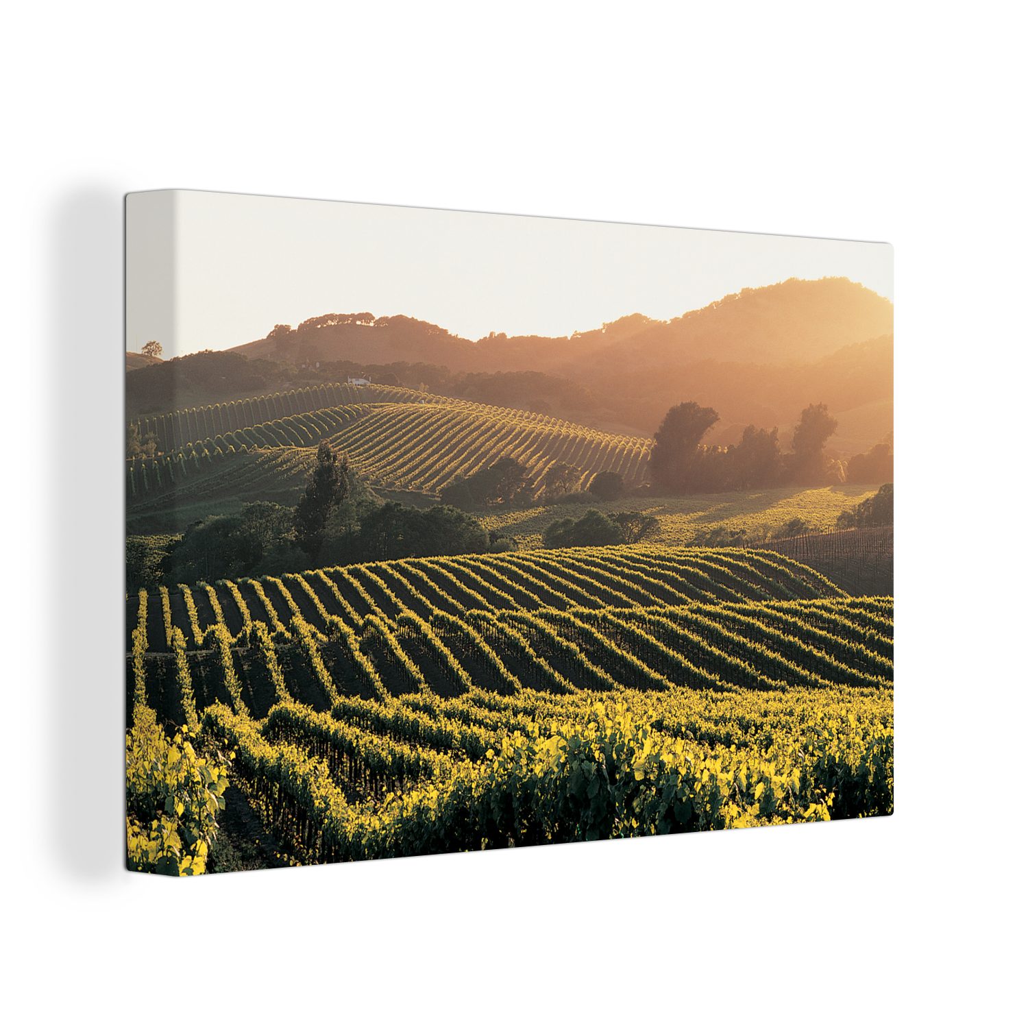 OneMillionCanvasses® Leinwandbild Weinbaugebiete in den Vereinigten Staaten, (1 St), Wandbild Leinwandbilder, Aufhängefertig, Wanddeko, 30x20 cm