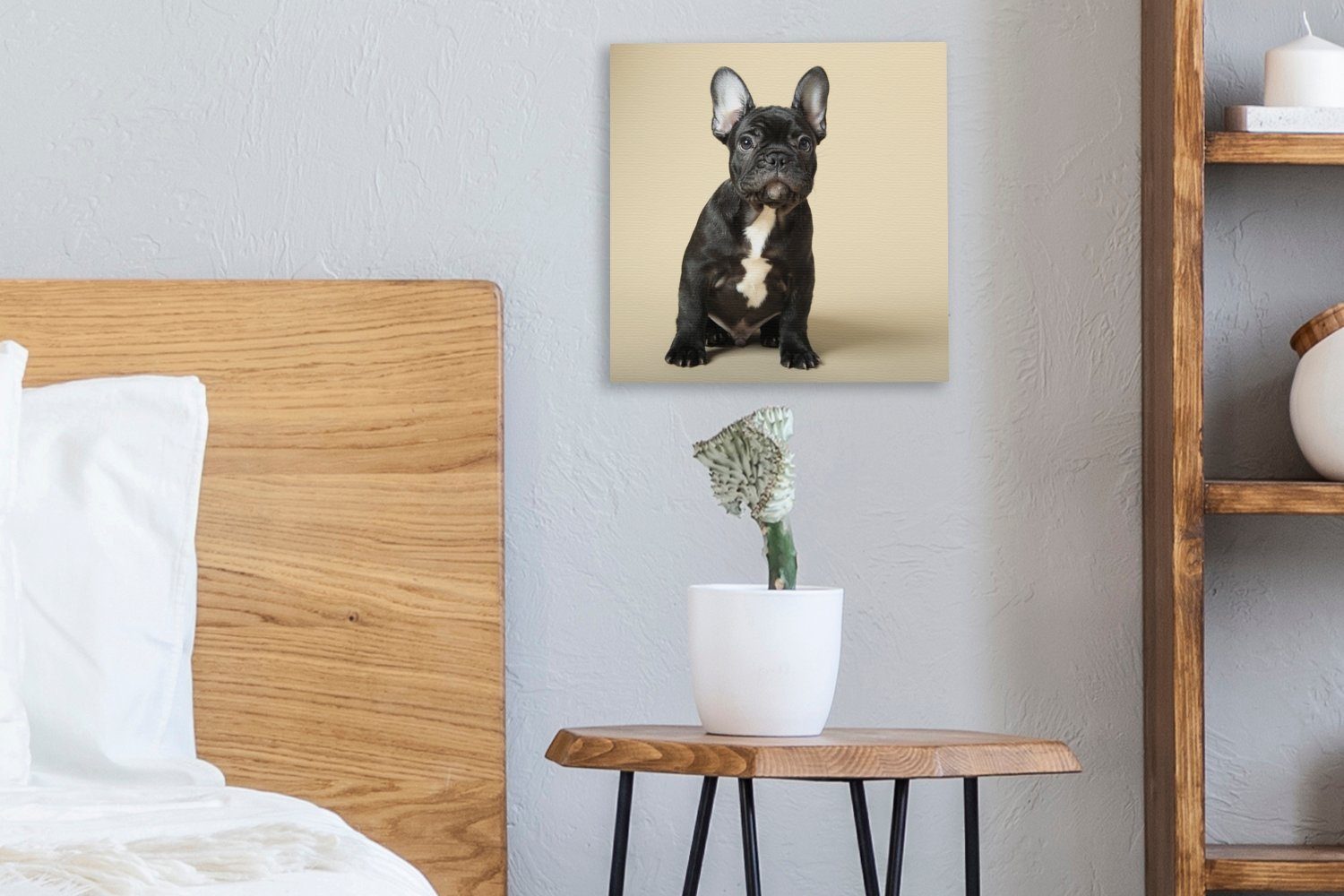 OneMillionCanvasses® Leinwandbild Französische Bulldogge Beige, St), Wohnzimmer Schwarz - - Bilder Schlafzimmer für Leinwand (1