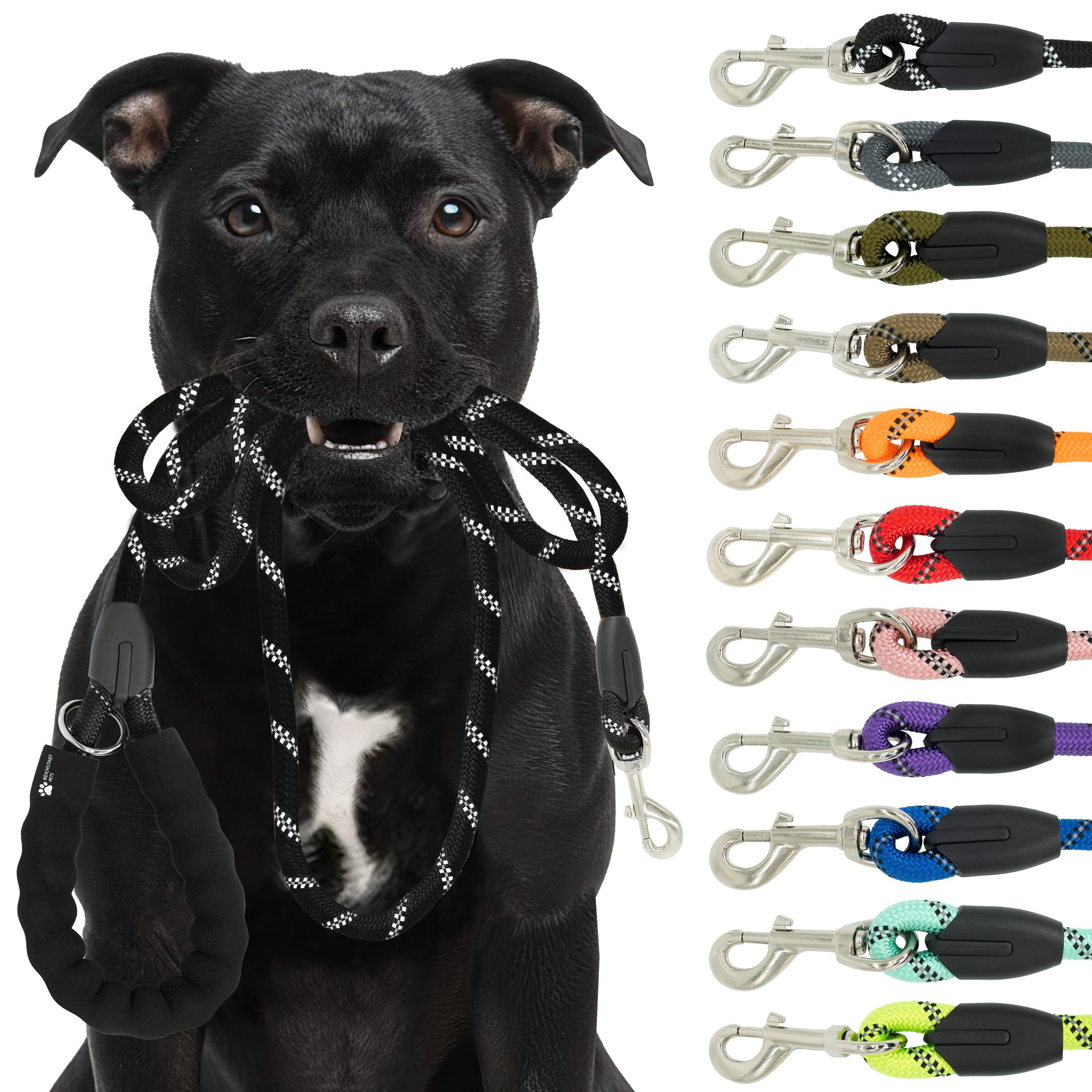 Reichstadt Hundeleine RS Pets Führleine Nylon 25RSP084, Nylon, Ergonomischer EVA-gepolsterter Griff für Blasenschutz von Reichstadt