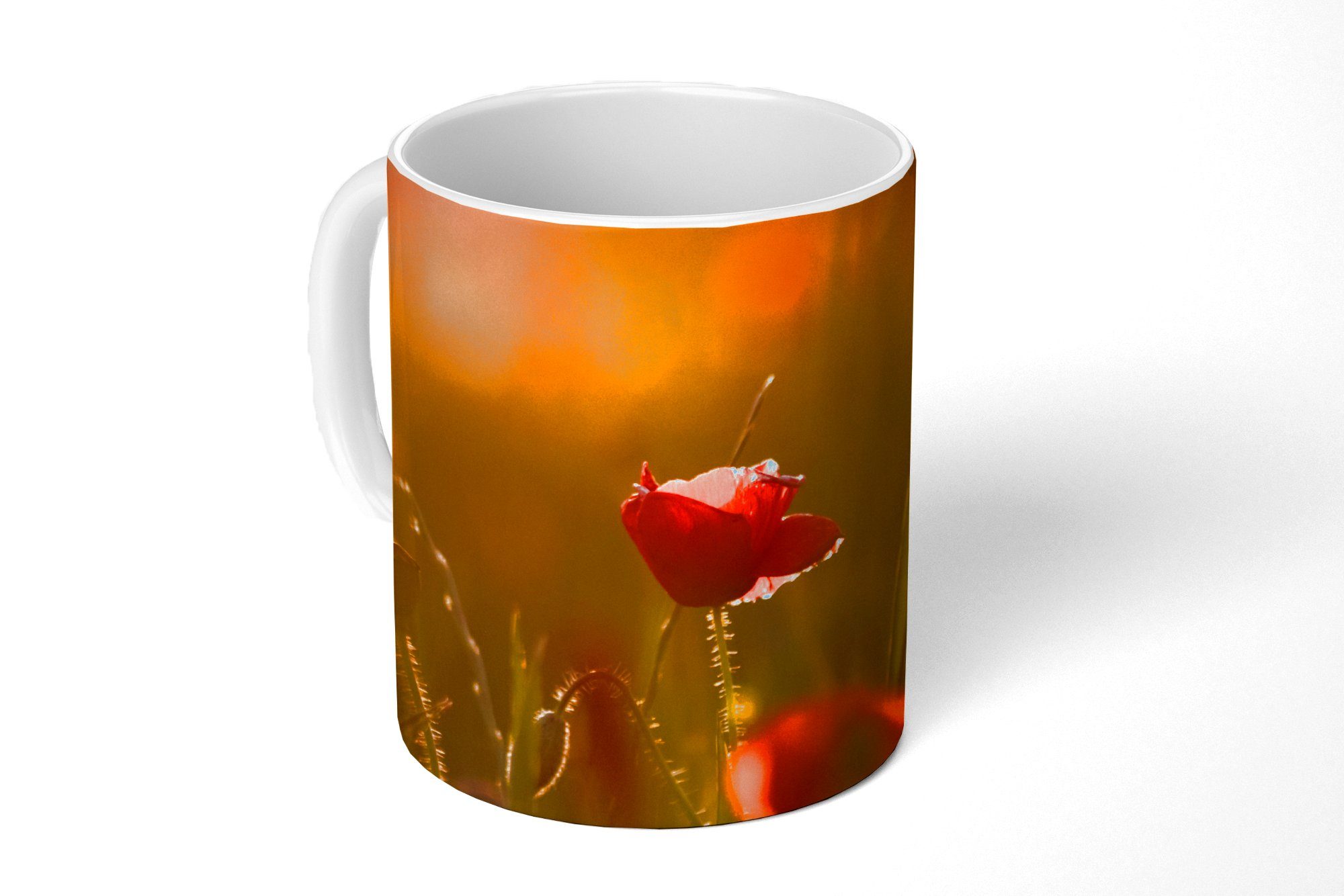 MuchoWow Tasse Mohn - Sonnenuntergang Teetasse, - Becher, Keramik, Teetasse, Geschenk Gold, Kaffeetassen