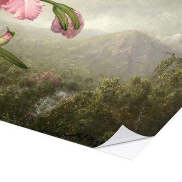 Posterlounge Wandfolie Martin Johnson Heade, Orchidee und Kolibri, Malerei