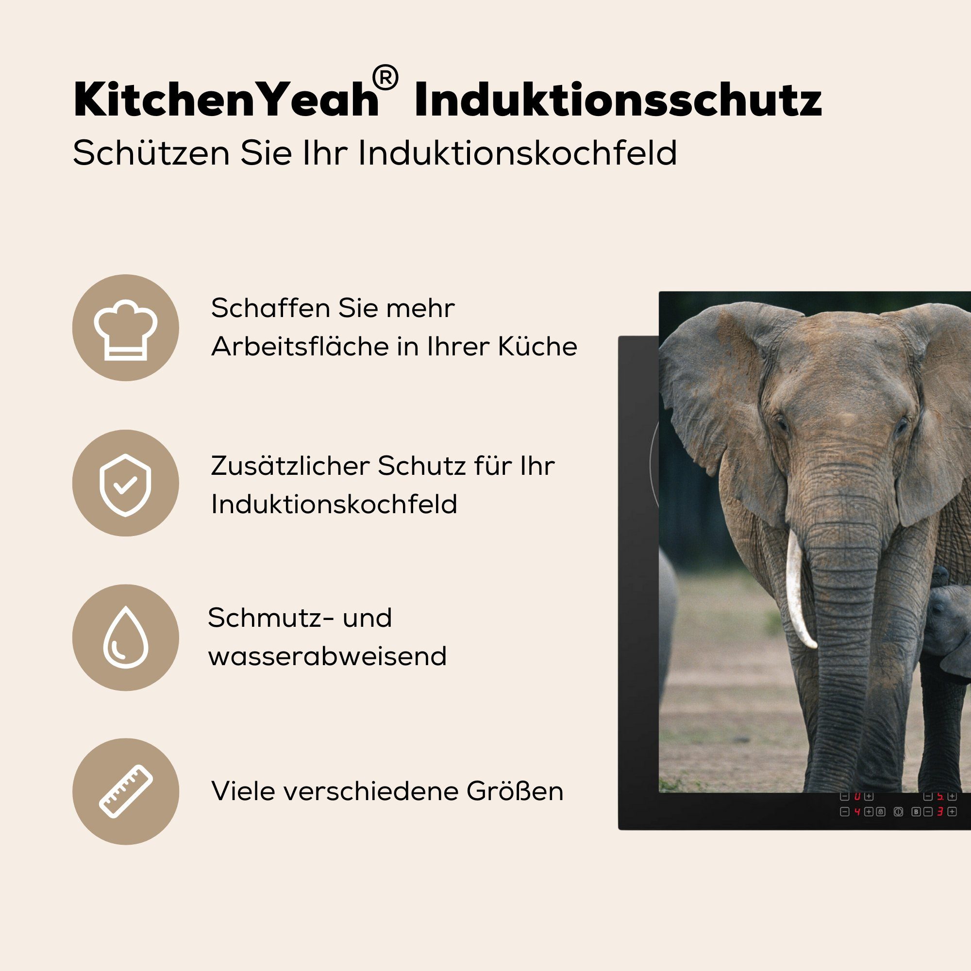 78x78 küche Tiere für Herdblende-/Abdeckplatte tlg), - (1 Ceranfeldabdeckung, Flachland Arbeitsplatte Elefant - cm, Natur, MuchoWow - Vinyl,