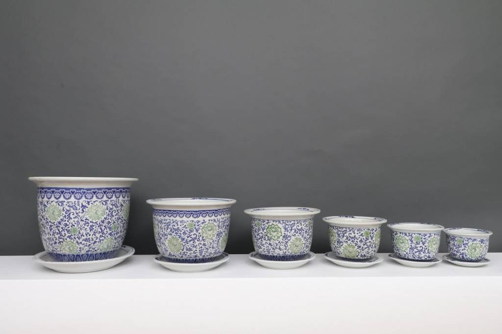 Yajutang Topfpflanze