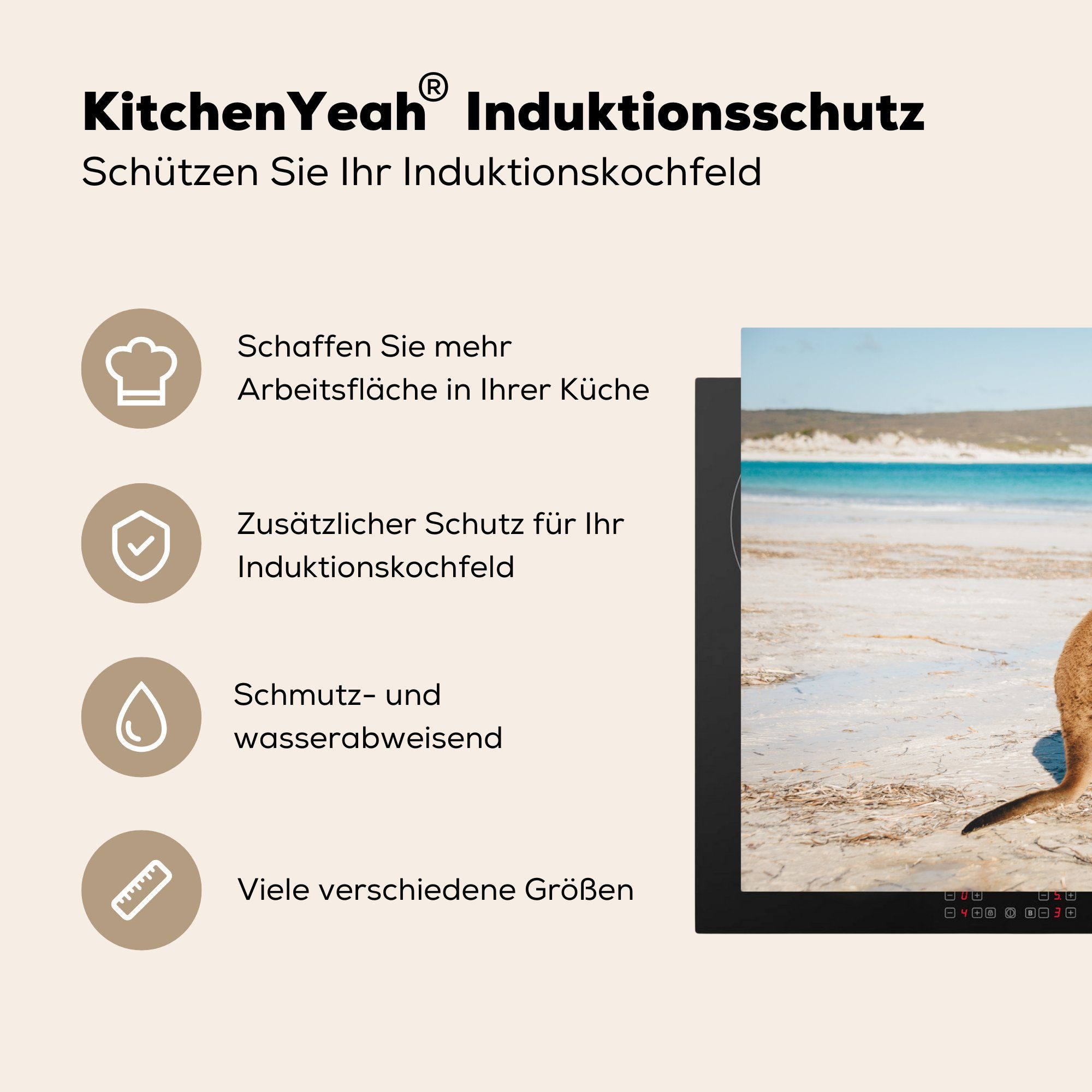 MuchoWow Herdblende-/Abdeckplatte Känguru - die - Strand für (1 Ceranfeldabdeckung Vinyl, 81x52 Meer, tlg), küche, Induktionskochfeld Schutz cm