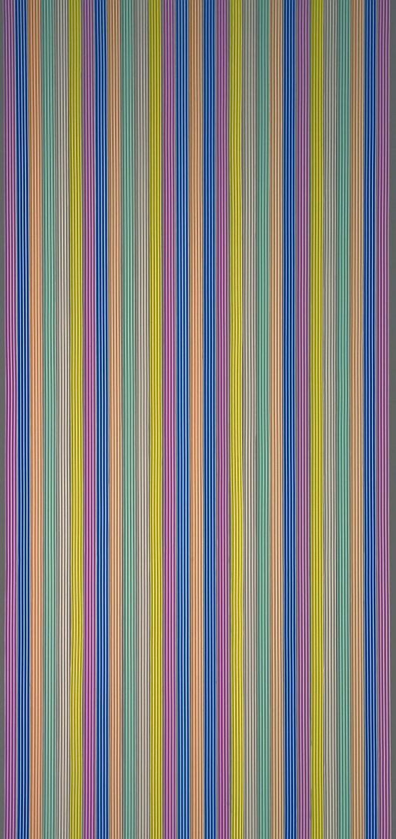 CONACORD Insektenschutz-Vorhang Decona Brillant Streifenvorhang bunt, 90 x 200 cm, PVC - hohe Stranganzahl