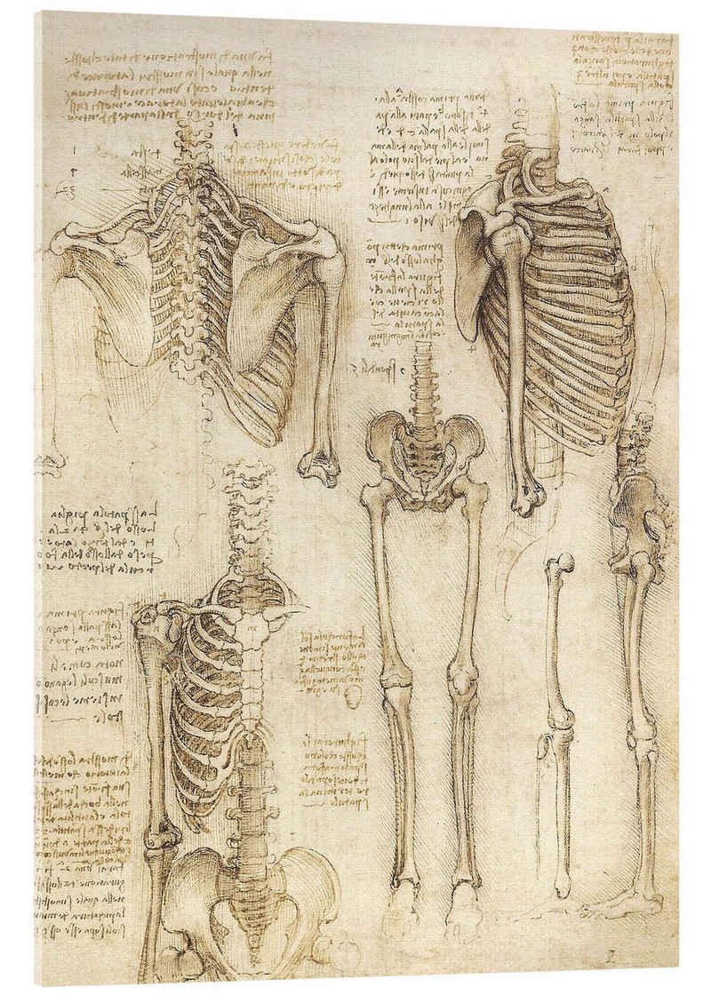 Posterlounge Acrylglasbild Leonardo da Vinci, Anatomie-Studie, Skelett, Illustration
