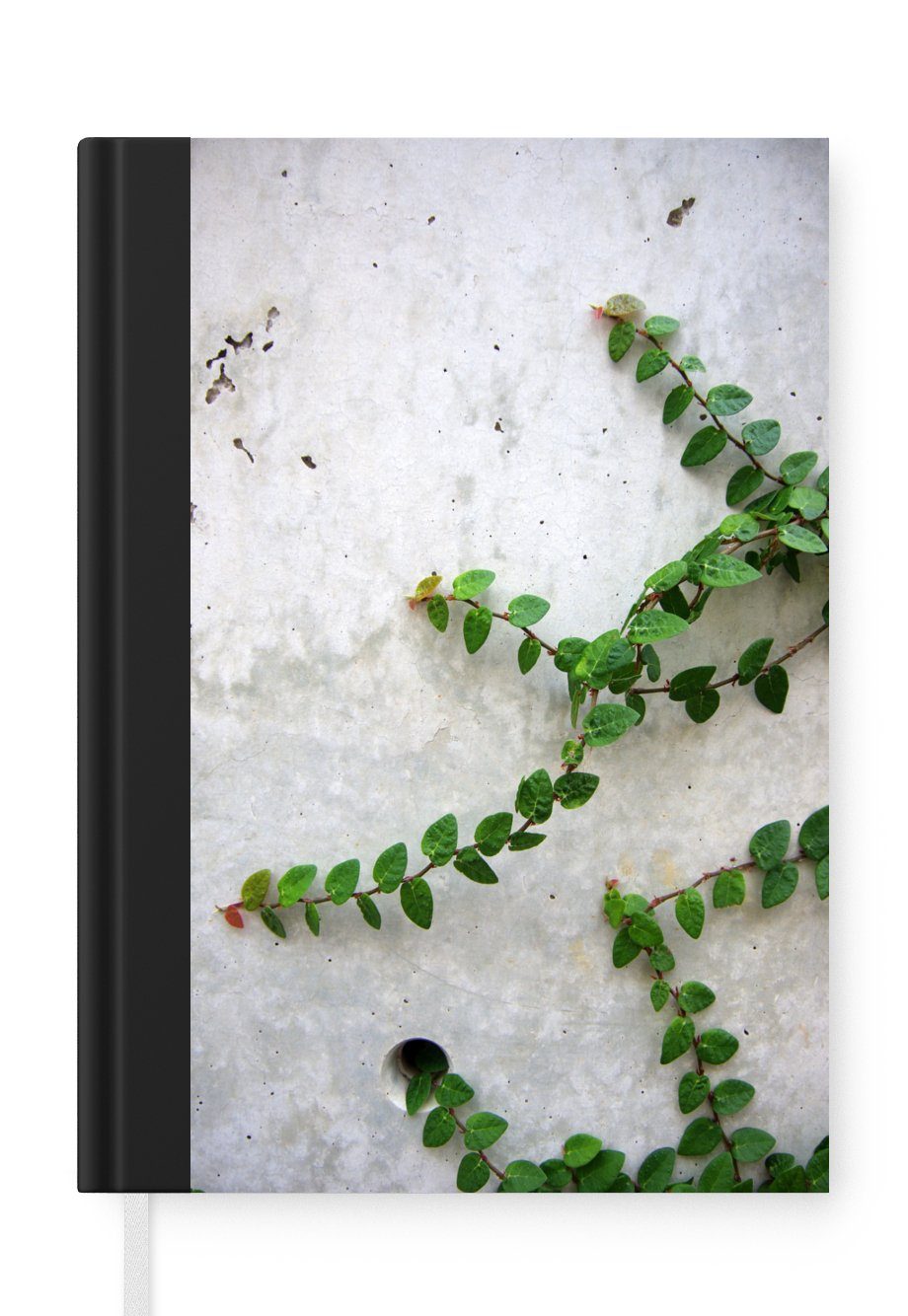 MuchoWow Notizbuch Kletterpflanzen an einer Betonwand, Journal, Merkzettel, Tagebuch, Notizheft, A5, 98 Seiten, Haushaltsbuch