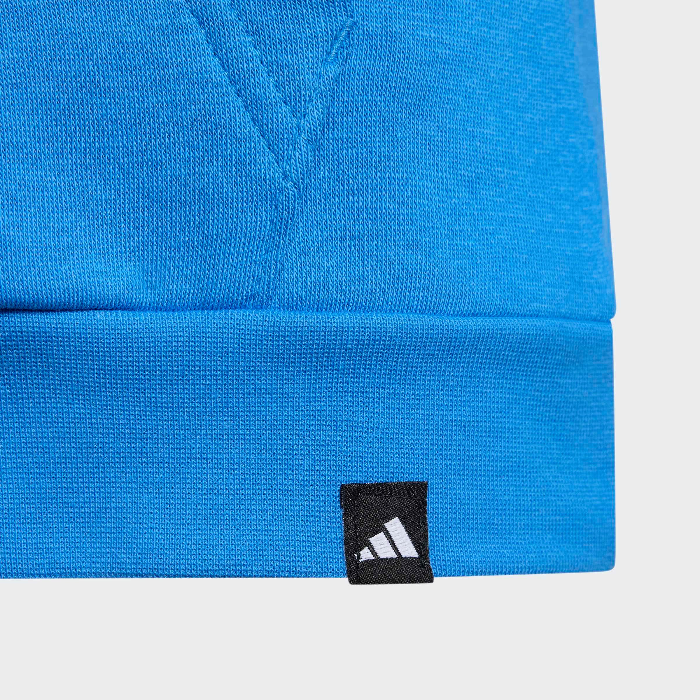 adidas TERREX Kapuzensweatshirt K MT LOGO HD