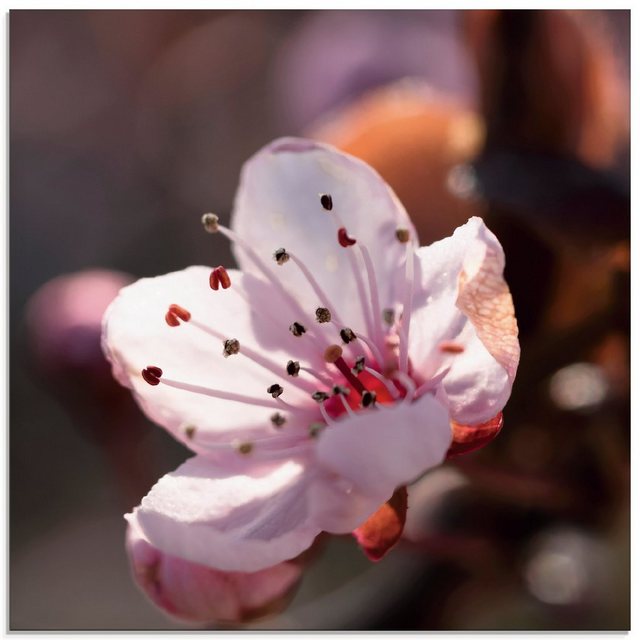Artland Glasbild »Kirschblüte I«, Blumen (1 Stück)-Otto
