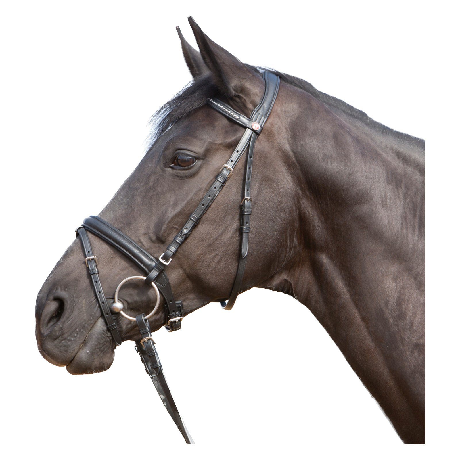 Kieffer Trensenzaum Trensenzaum Ultrasoft schwarz - Pony, Leder