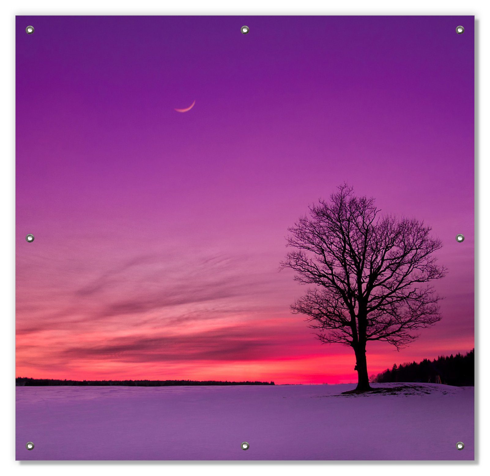 Sonnenschutz Mond und Baum am Abend bei Schnee, Wallario, blickdicht, mit Saugnäpfen, wiederablösbar und wiederverwendbar
