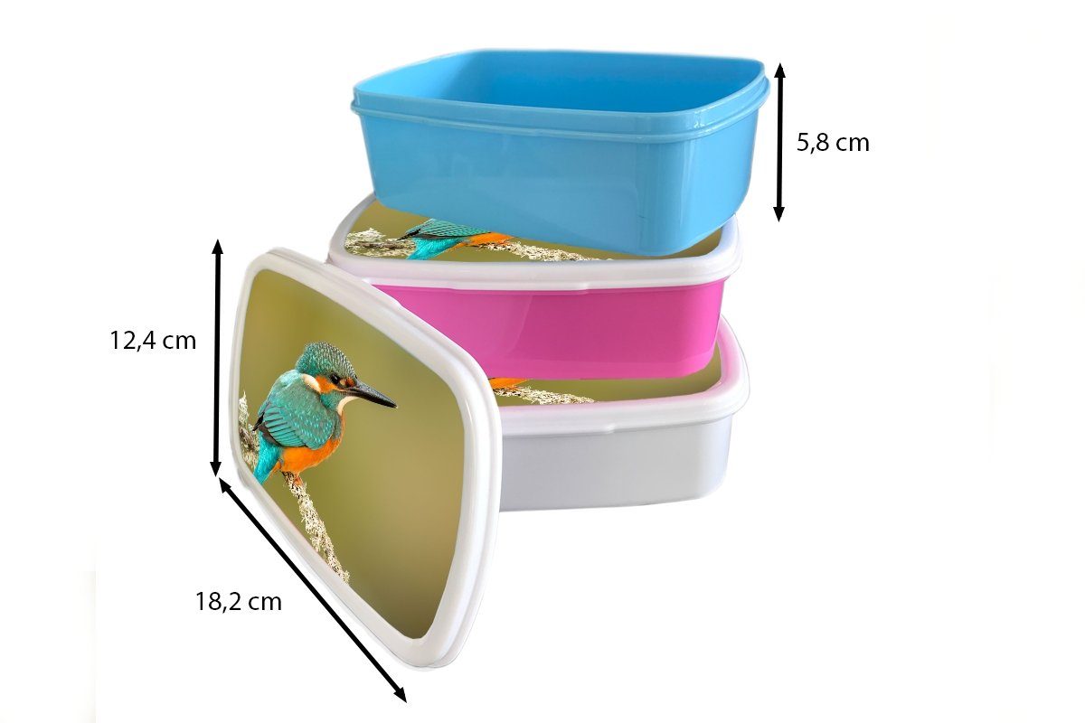 Tiere Kunststoff Kinder, rosa - Erwachsene, Mädchen, Kunststoff, - für Brotbox Lunchbox Snackbox, MuchoWow Eisvogel Brotdose Vogel, (2-tlg),