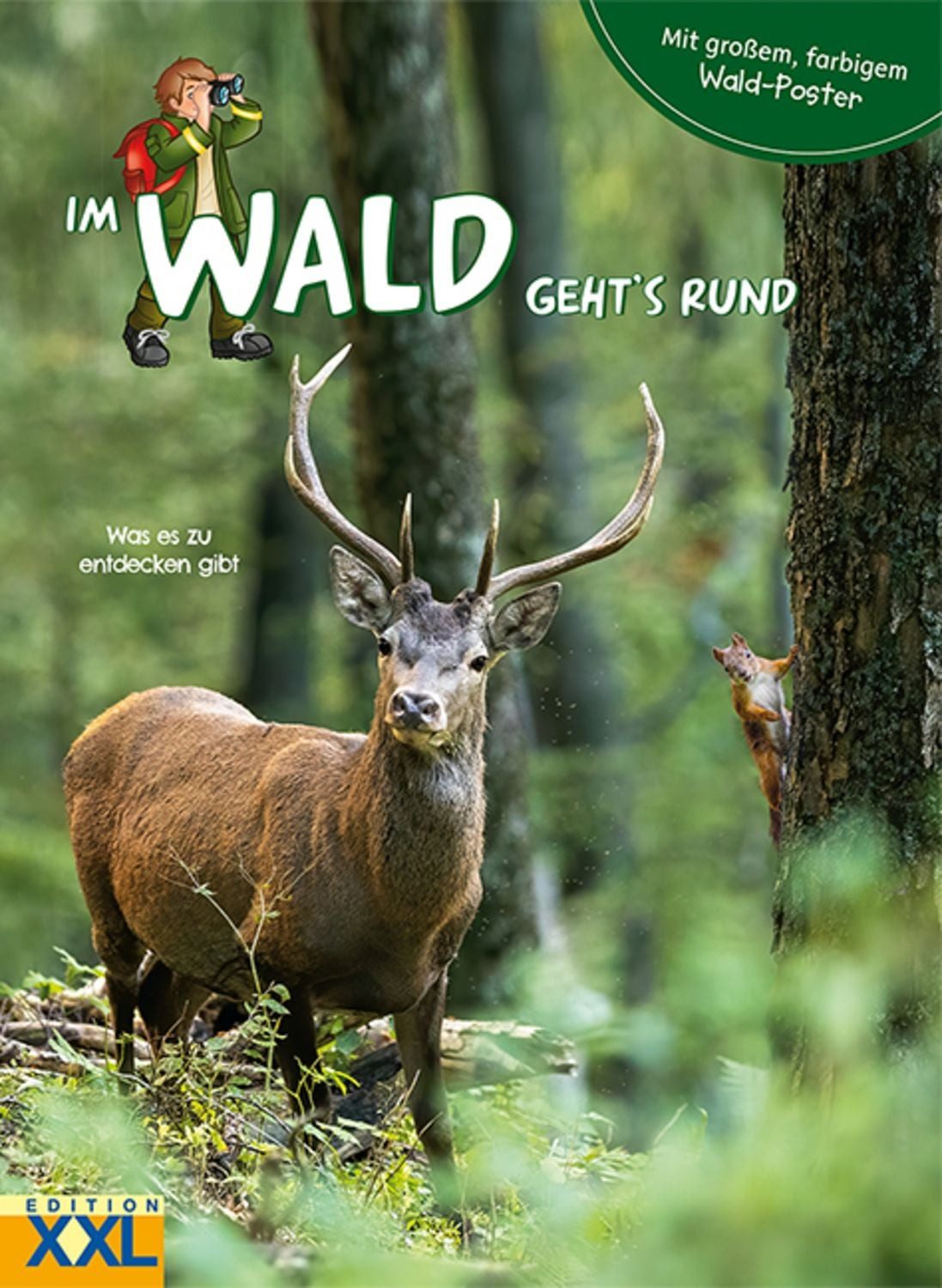 Im Wald geht's rund – mit großem, farbigem Poster / diverse