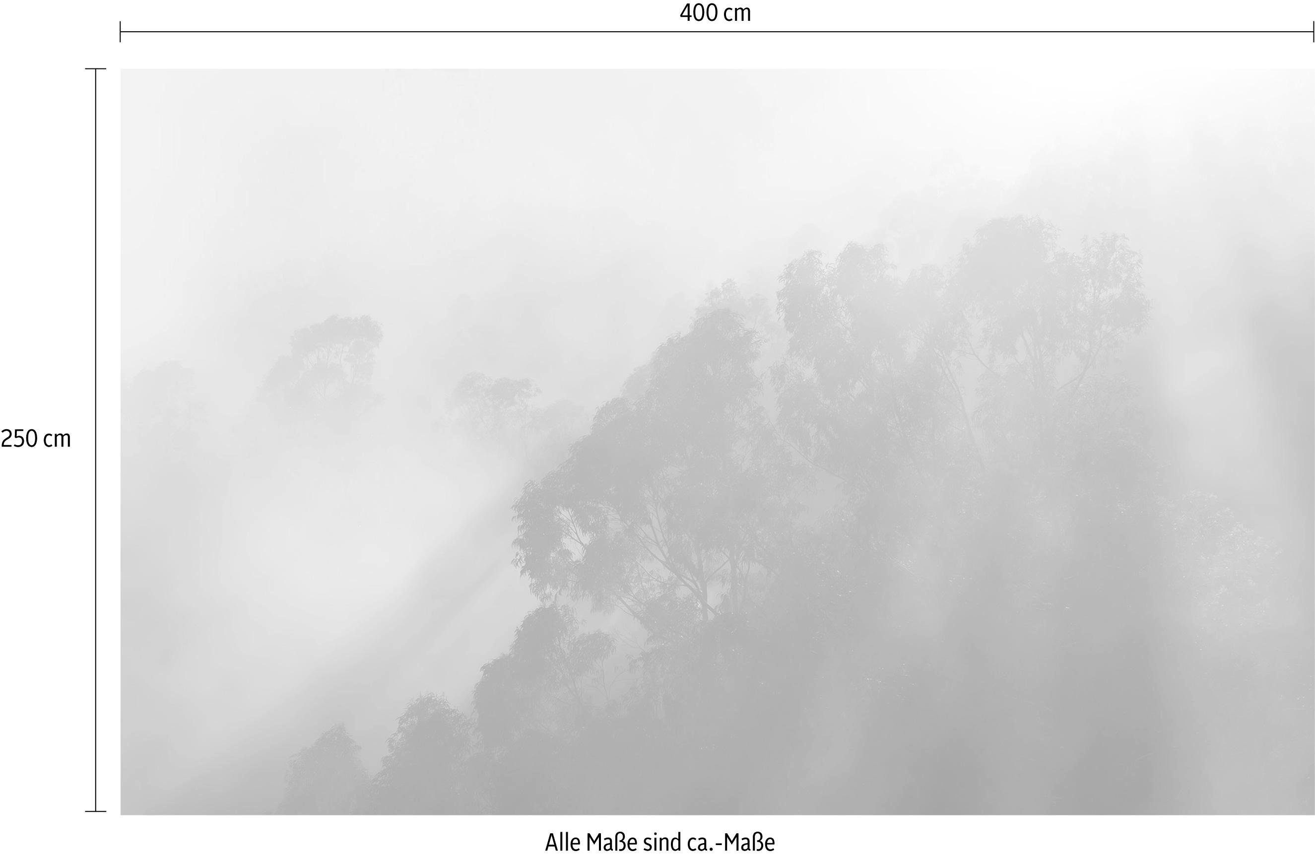 Komar Vliestapete »Misty Mountain«, glatt, naturalistisch-kaufen