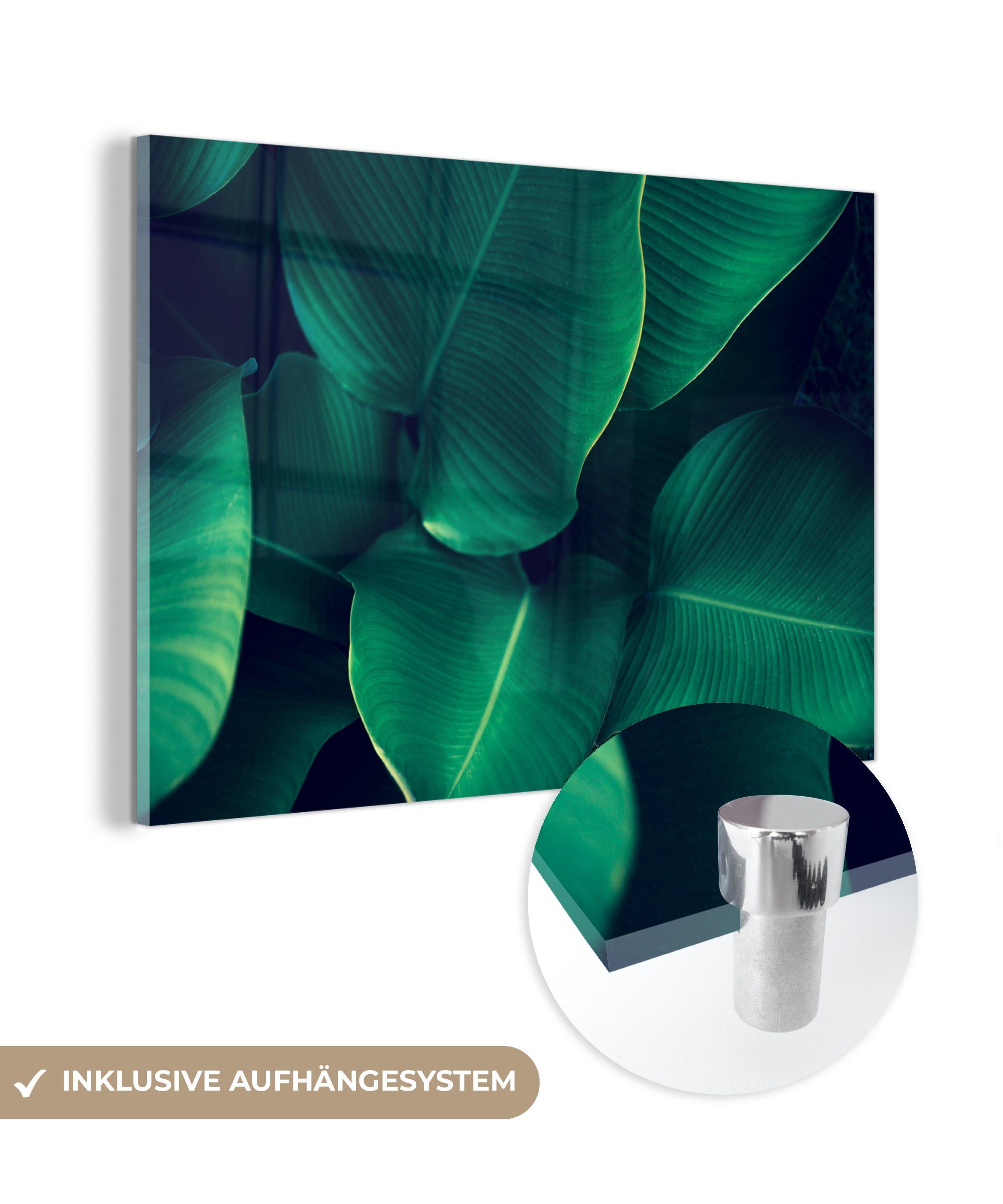 MuchoWow Acrylglasbild Pflanzen - Tropisch - Blatt, (1 St), Acrylglasbilder Wohnzimmer & Schlafzimmer