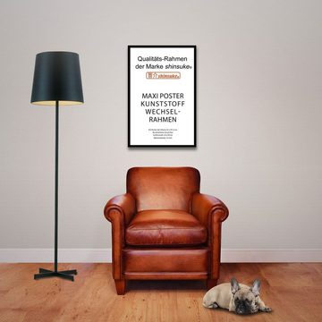 empireposter Rahmen Posterrahmen Wechselrahmen Shinsuke® Maxi-Poster Profil: 15mm Kunststoff 61x91,5cm, Farbe türkis mit Acryl-Scheibe