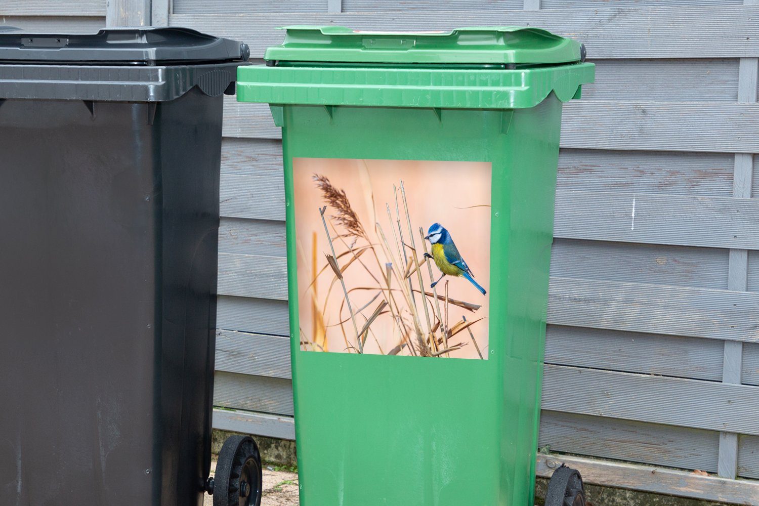 MuchoWow Wandsticker Vogel Sticker, Mülleimer-aufkleber, St), - Schilf Blaumeise Abfalbehälter (1 Container, - Mülltonne