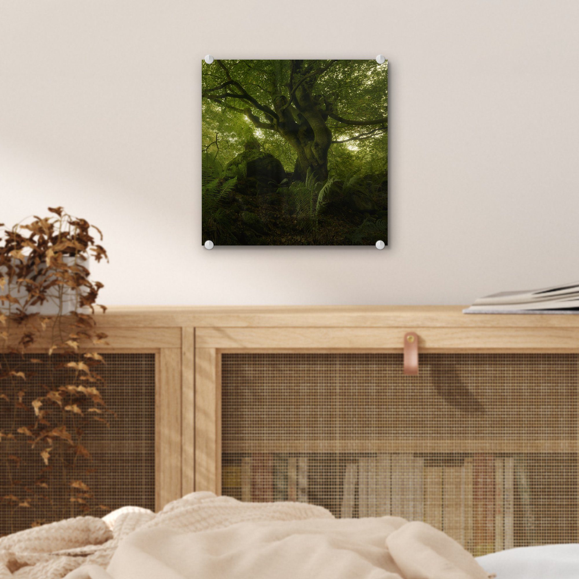 MuchoWow Acrylglasbild Dunkelgrüner - Wald, Wandbild Bilder Glas Glas - Wanddekoration Foto St), auf auf (1 - Glasbilder